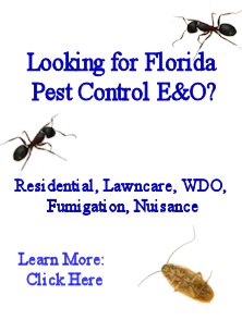 pest control 3